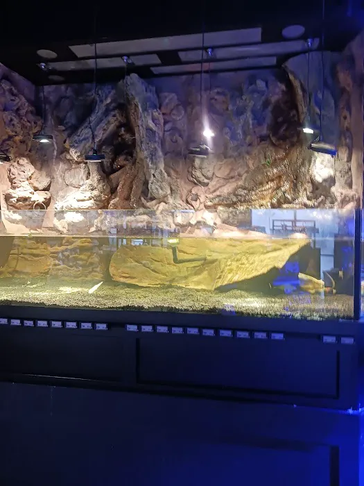 Glass Aquatics Picture 4