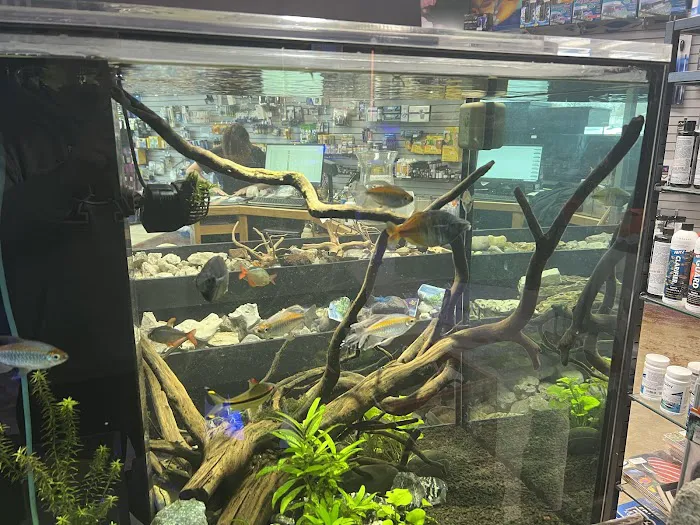 Glass Aquatics Picture 6