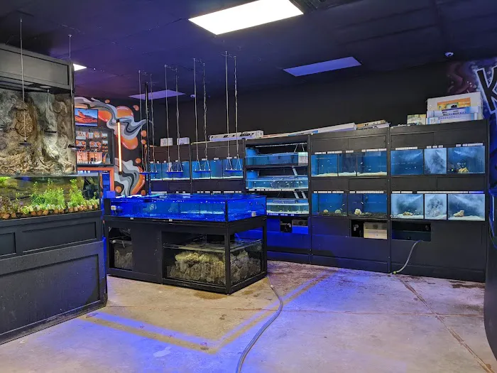 Glass Aquatics Picture 10