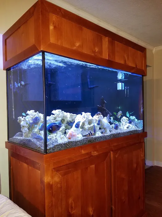 Glass Aquatics Picture 7