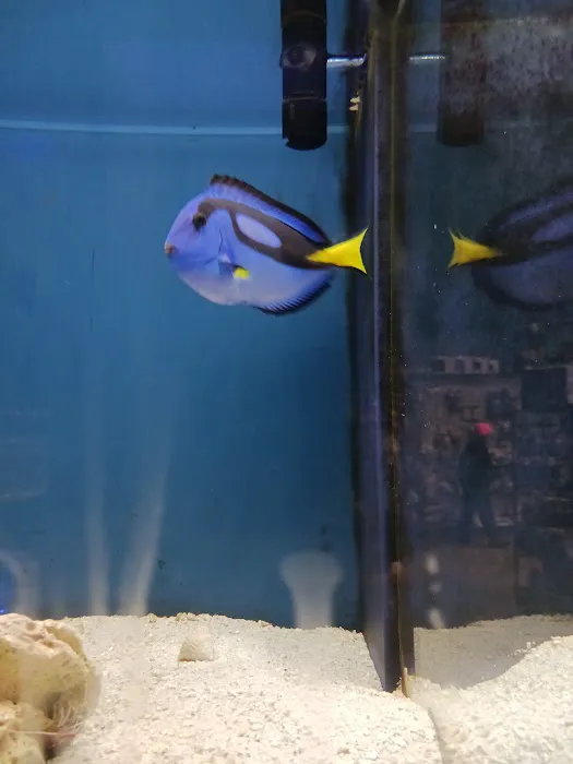 Glass Aquatics Picture 9