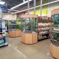 Petco ico