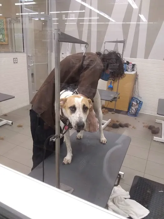 Petco Picture 2