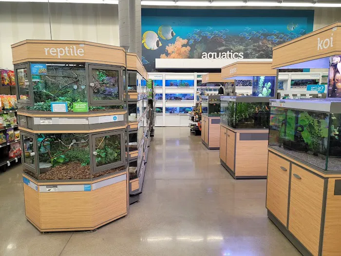 Petco Picture 5