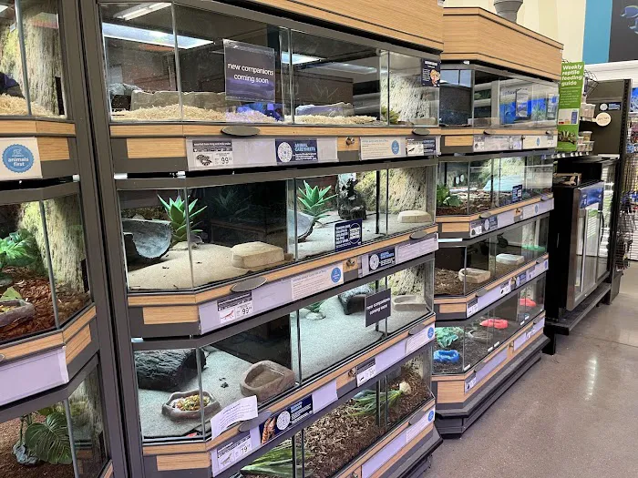 Petco Picture 7