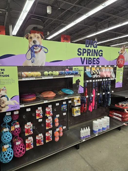 Petco Picture 9