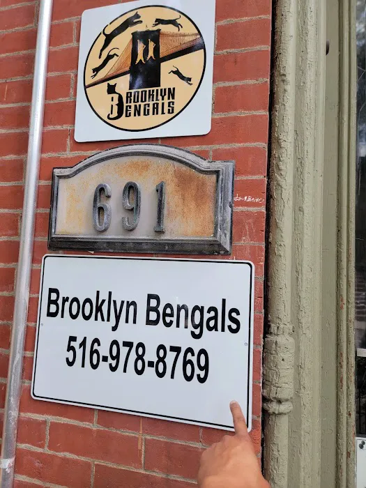 Brooklyn Bengals Picture 3