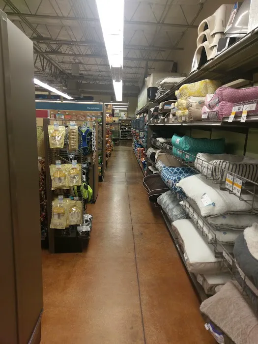 Petco Picture 1