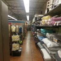 Petco ico