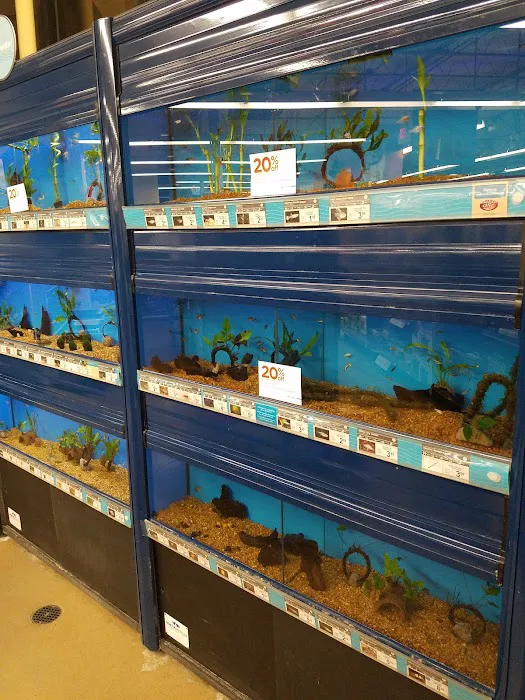 Petco Picture 2