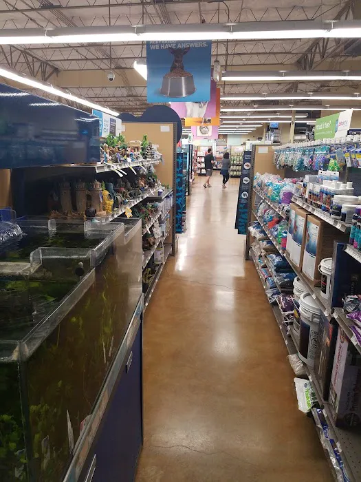 Petco Picture 8