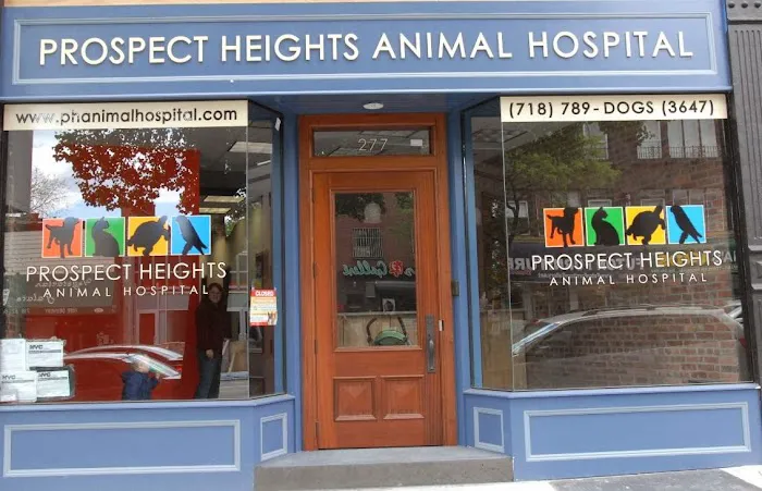 Prospect Heights Animal Hospital Picture 2