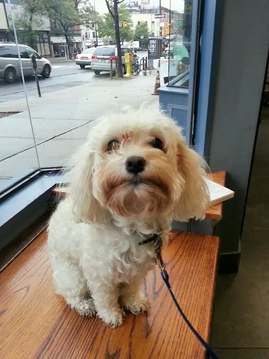 Prospect Heights Animal Hospital Picture 3