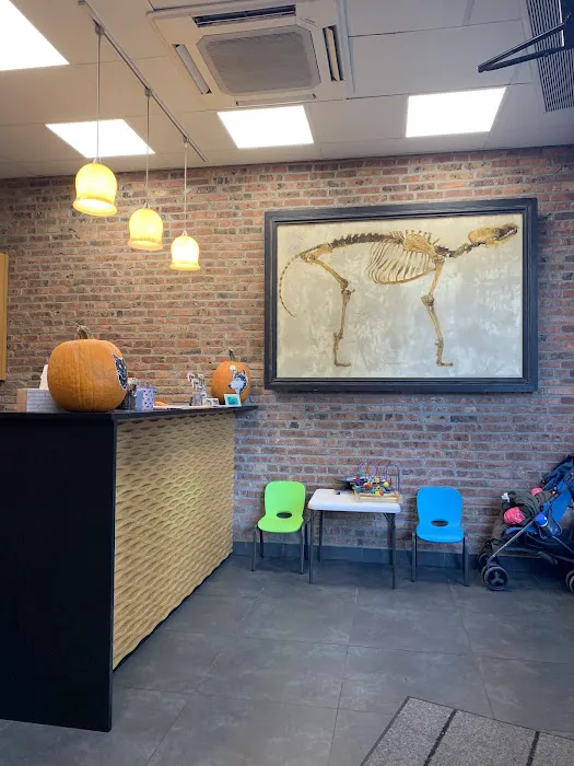 Prospect Heights Animal Hospital Picture 7