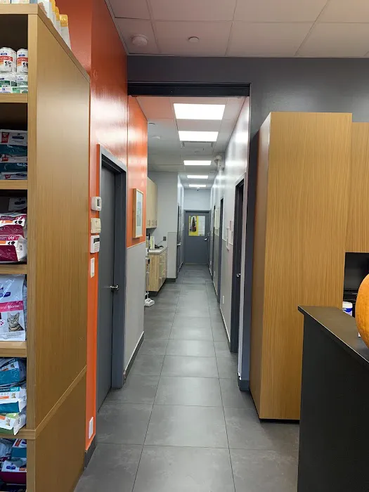 Prospect Heights Animal Hospital Picture 5