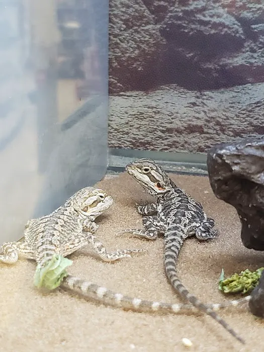 Petco Picture 1