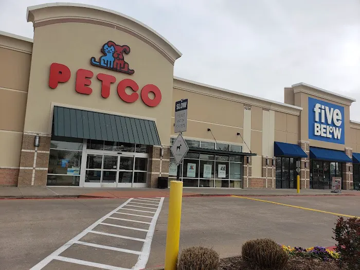 Petco Picture 3