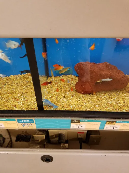 Petco Picture 4