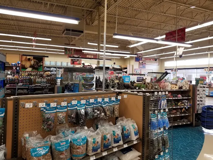 Petco Picture 8