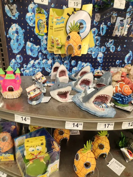 Petco Picture 9