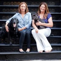 The Vet Set ico