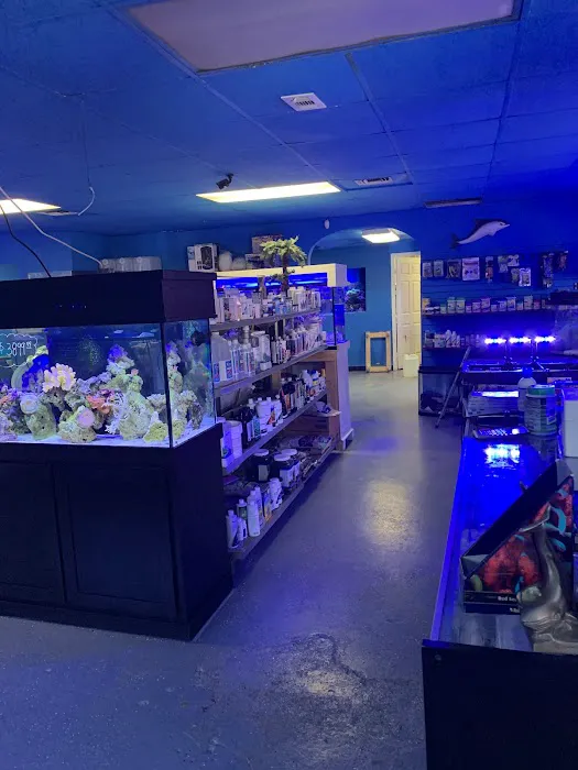 Saltwater Paradise Picture 2