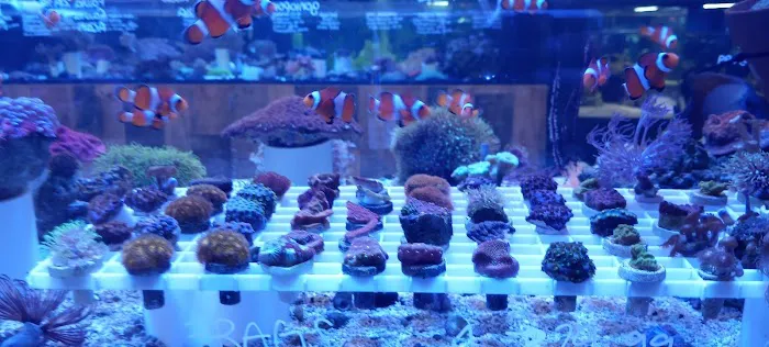 Saltwater Paradise Picture 3
