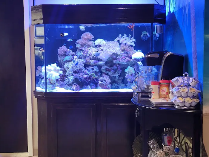 Saltwater Paradise Picture 4