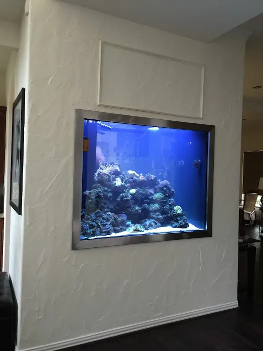 Saltwater Paradise Picture 5