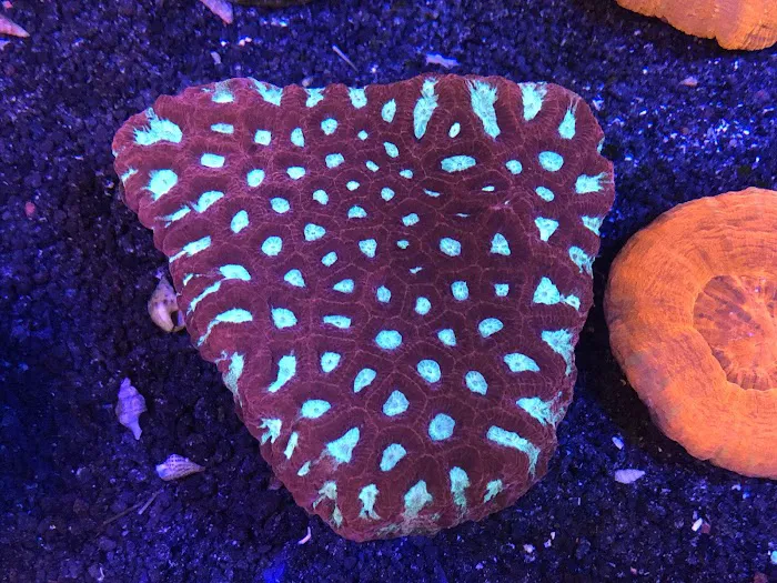 Saltwater Paradise Picture 8