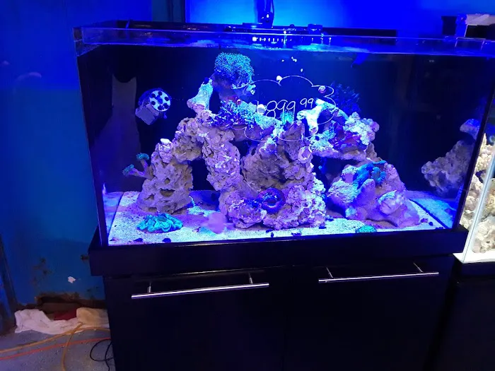 Saltwater Paradise Picture 7