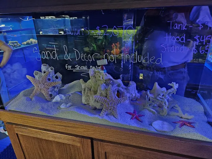 Saltwater Paradise Picture 10
