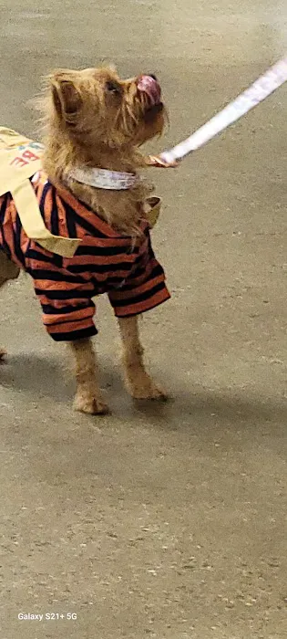Banfield Pet Hospital Picture 7