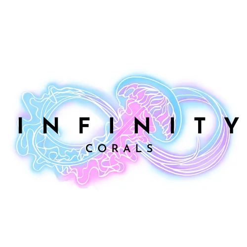 Infinity Corals Picture 6