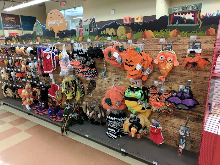 Petco Picture 3