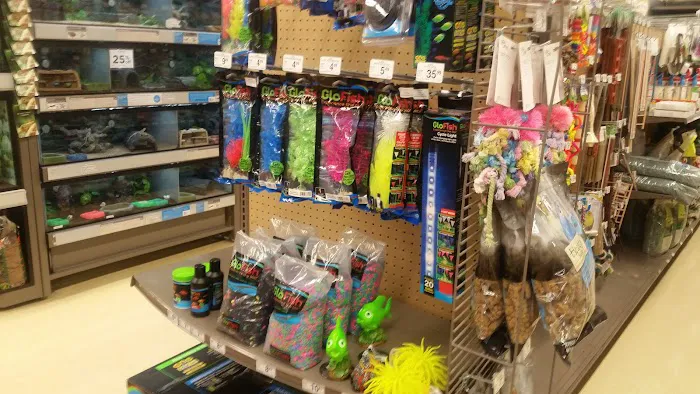 Petco Picture 1