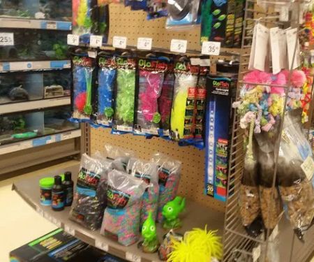 Petco