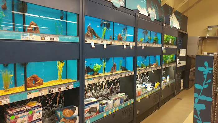 Petco Picture 7