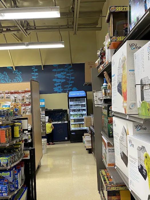 Petco Picture 9