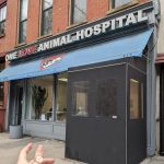 One Love Animal Hospital
