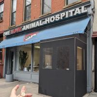 One Love Animal Hospital ico