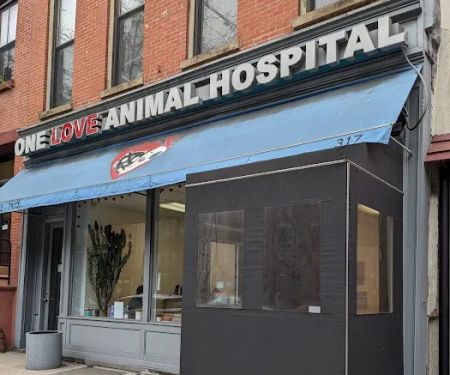 One Love Animal Hospital
