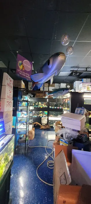 Petworld ~ The Aquatic Place Picture 2