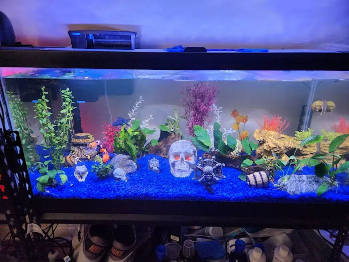 Petworld ~ The Aquatic Place Picture 5