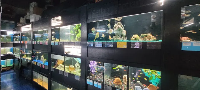 Petworld ~ The Aquatic Place Picture 4