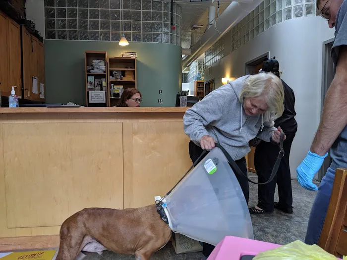 Hope Animal Hospital Picture 8