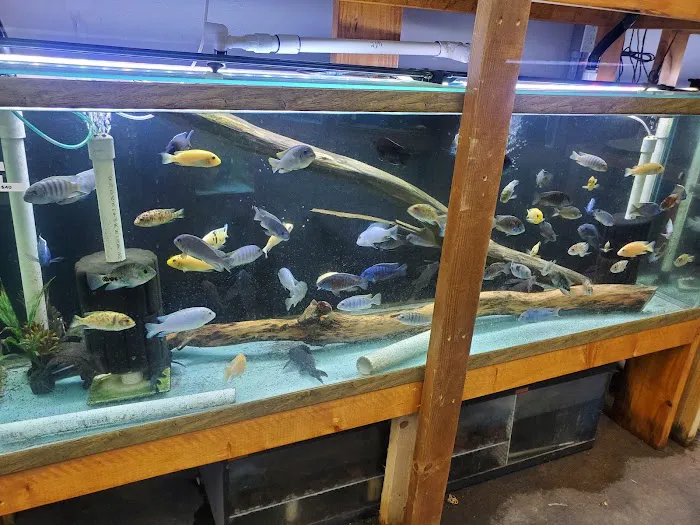Texas Aquatics Picture 2