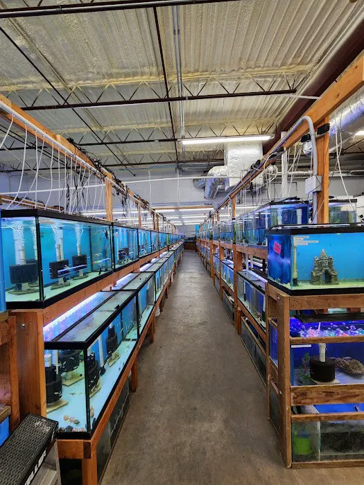 Texas Aquatics Picture 7