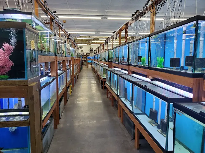 Texas Aquatics Picture 8