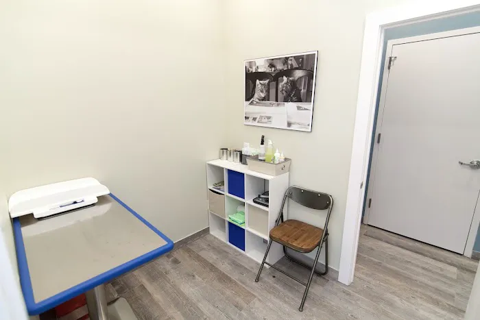 Veterinary Wellness Center of Boerum Hill Picture 3